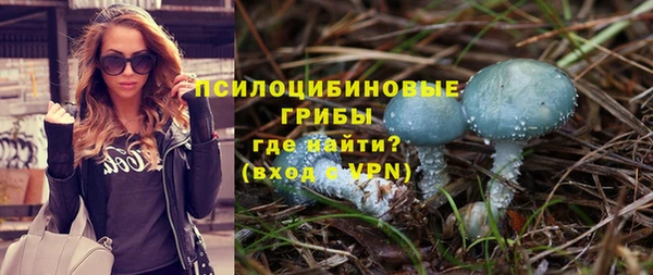 ПСИЛОЦИБИНОВЫЕ ГРИБЫ Новодвинск