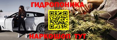 прущие крисы Беслан