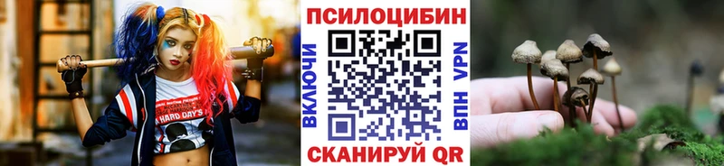 Псилоцибиновые грибы мухоморы  Димитровград 
