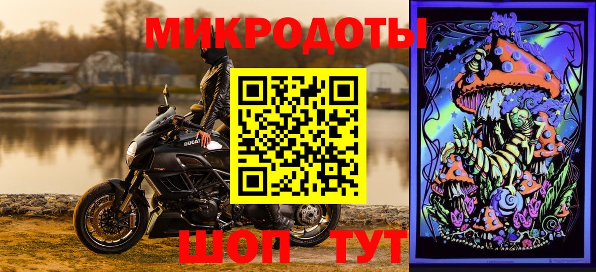 как найти   Псилоцибиновые грибы ЛСД  Димитровград  Псилоцибиновые грибы ЛСД 