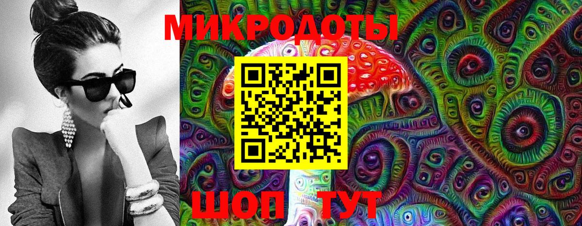 Псилоцибиновые грибы Psilocybine cubensis Димитровград