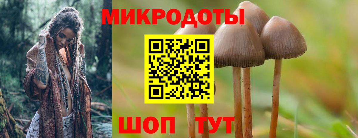 где купить   Псилоцибиновые грибы мухоморы  Вход с VPN  Димитровград 