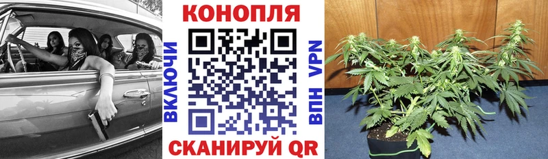 Бошки Шишки ГИДРОПОН  где купить наркотик  ОМГ ОМГ зеркало  Димитровград 
