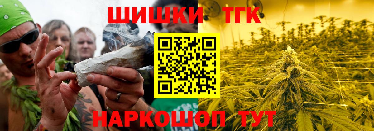 Канабис сатива  Бошки Шишки VHQ  Бошки Шишки планчик  Димитровград 